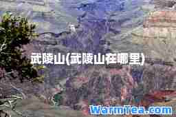 武陵山(武陵山在哪里)