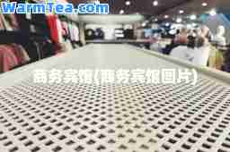 商务宾馆(商务宾馆图片)