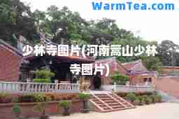 少林寺图片(河南篙山少林寺图片)