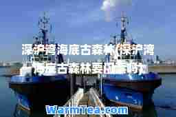 深沪湾海底古森林(深沪湾海底古森林要门票吗)