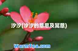 汐汐(汐汐的意思及寓意) 汐汐(汐汐的意思及寓意)