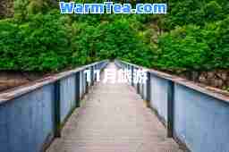 11月旅游