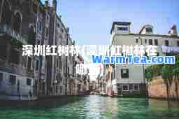 深圳红树林(深圳红树林在哪里)