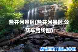 盐井河景区(盐井河景区 公交车路线图)