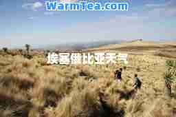 埃塞俄比亚天气