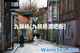 九眼桥(九眼桥酒吧街)