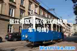 张江有轨电车(张江有轨电车1号线)