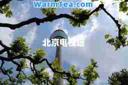 北京电视塔