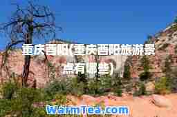 重庆酉阳(重庆酉阳旅游景点有哪些)