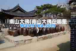 南山大佛(南山大佛在哪里)