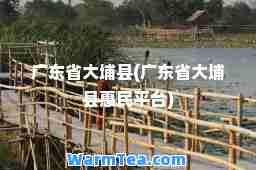广东省大埔县(广东省大埔县惠民平台)