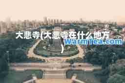 大悲寺(大悲寺在什么地方)