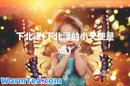 下北泽(下北泽的小天使是谁)