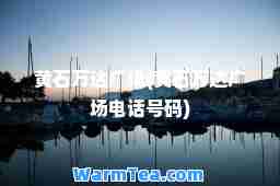 黄石万达广场(黄石万达广场电话号码)