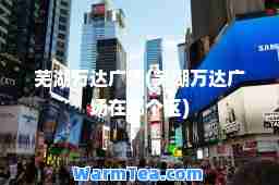 芜湖万达广场(芜湖万达广场在哪个区)