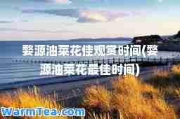 婺源油菜花佳观赏时间(婺源油菜花时间)