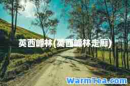 英西峰林(英西峰林走廊)
