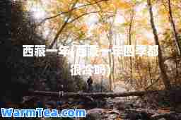一年(一年四季都很冷吗)