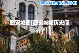 西安城墙(西安城墙历史简介)