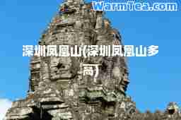 深圳凤凰山(深圳凤凰山多高)