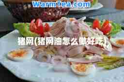 猪网(猪网油怎么做好吃)