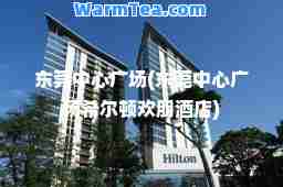 东莞中心广场(东莞中心广场希尔顿欢朋酒店)