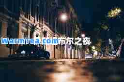 伊斯坦布尔之夜