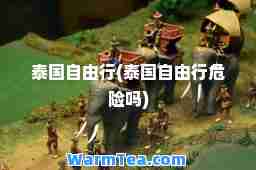 泰国自由行(泰国自由行危险吗)