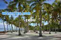 cebu