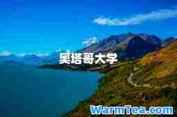 奥塔哥大学