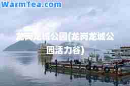 龙岗龙城公园(龙岗龙城公园活力谷)