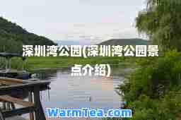 深圳湾公园(深圳湾公园景点介绍)