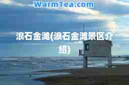 浪石金滩(浪石金滩景区介绍)