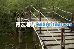 青云湖(青云湖学校)