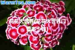 花花大世界(花花大世界门票多少钱)