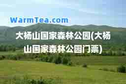 大杨山国家森林公园(大杨山国家森林公园门票)