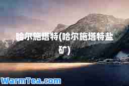 哈尔施塔特(哈尔施塔特盐矿)