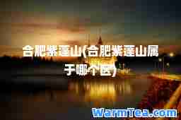 肥紫蓬山(肥紫蓬山属于哪个区)