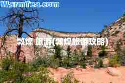 敦煌 旅游(敦煌旅游攻略)