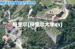 特里尔(特里尔大学qs)