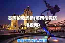 英国伦敦塔桥(英国伦敦塔桥视频)