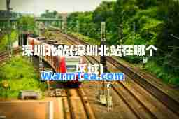 深圳北站(深圳北站在哪个区域)