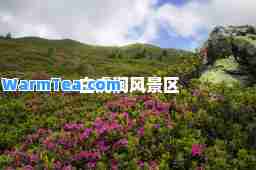白虎涧风景区