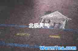 北极天气