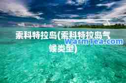 索科特拉岛(索科特拉岛气候类型)