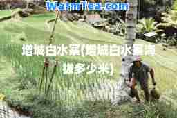 增城白水寨(增城白水寨海拔多少米)