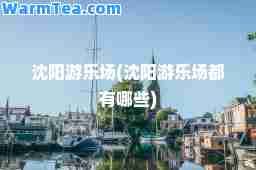 沈阳游乐场(沈阳游乐场都有哪些)