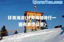 环青海湖(环青海湖骑行一圈有多少公里)