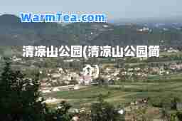 清凉山公园(清凉山公园简介)