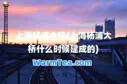 上海杨浦大桥(上海杨浦大桥什么时候建成的)